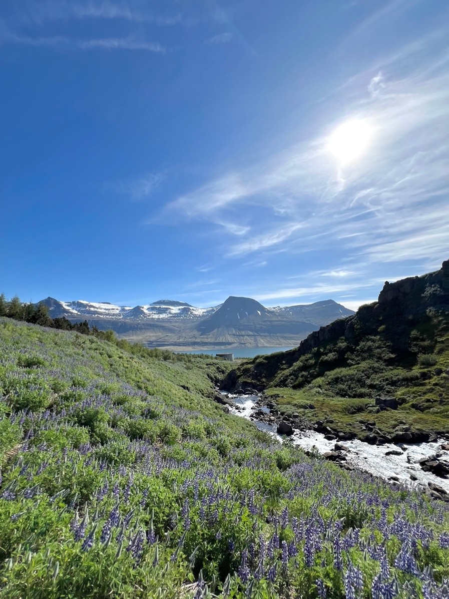 North2north Meeri Jalonen