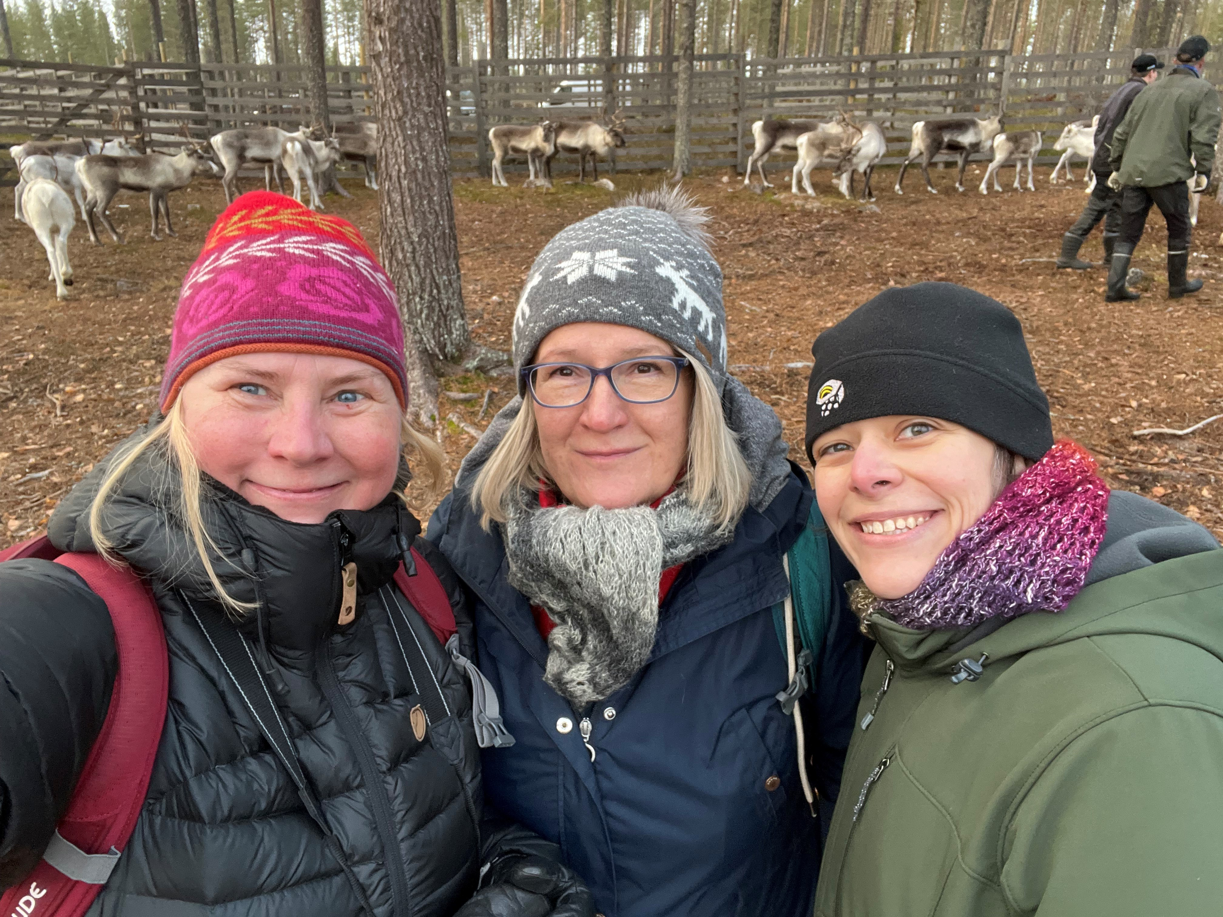 Image of Minna Turunen, Päivi Soppela, and Cara Ocobock with reindeer behind them.