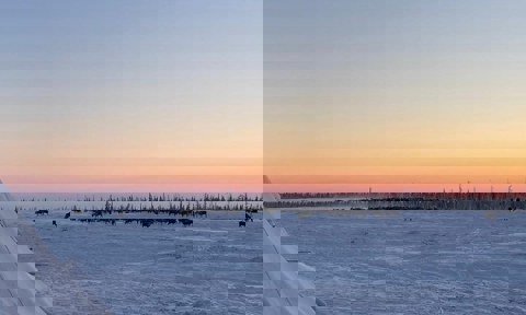 Reindeer Herder Camp During Winter