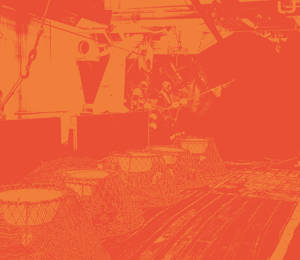 Snow Crab Fisheries In The Arctic SV 2026