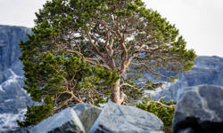 Satihaure Mm Okt13 142 Fullres CJUTSI