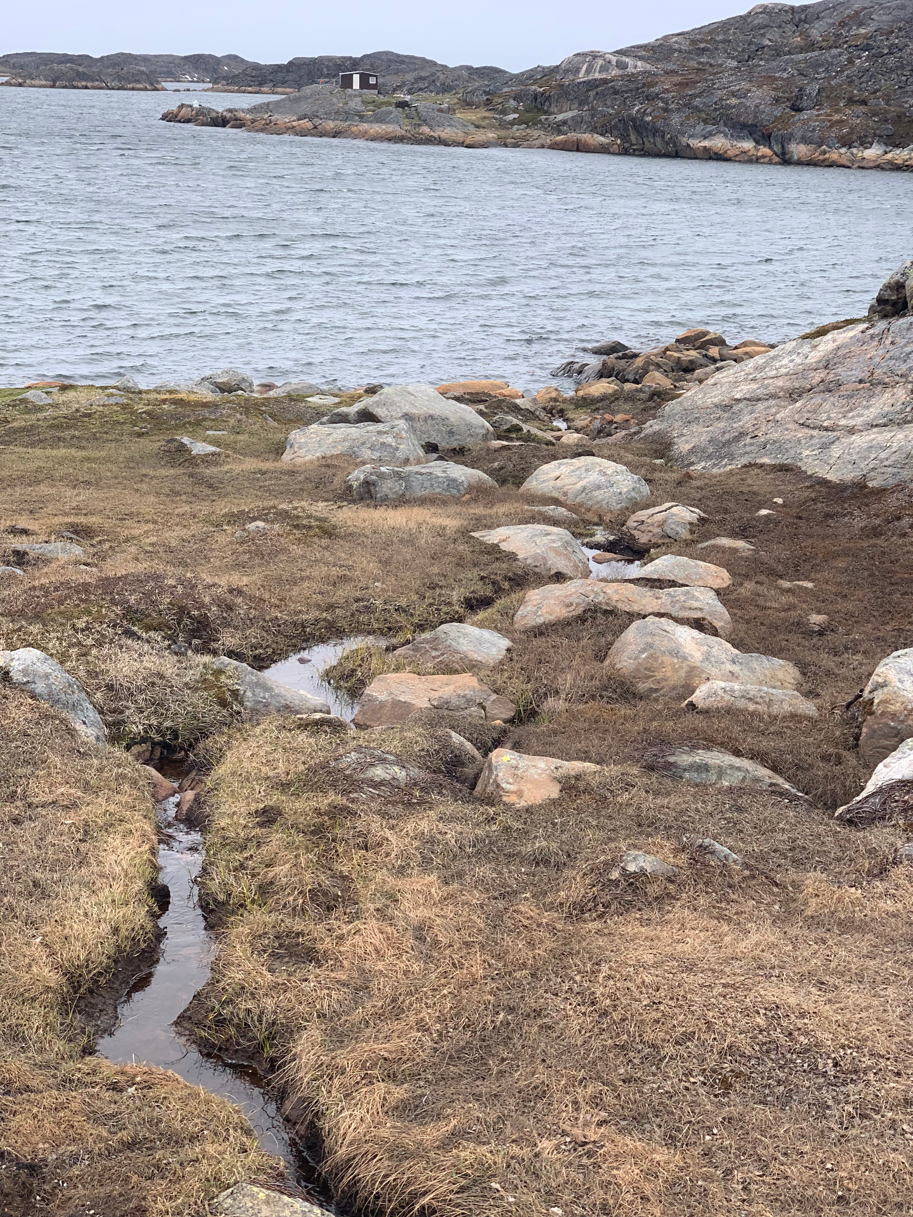 Tributary into the fjord.