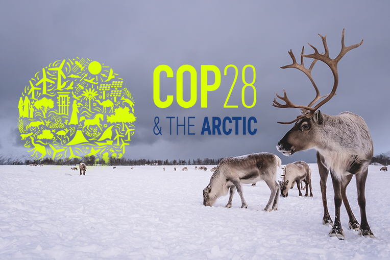 COP28 Debrief Event