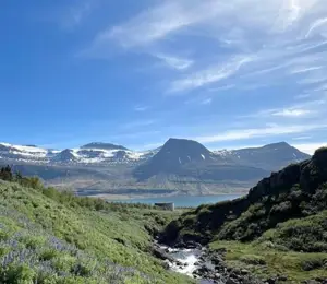 Photo of Meeri Jalonen