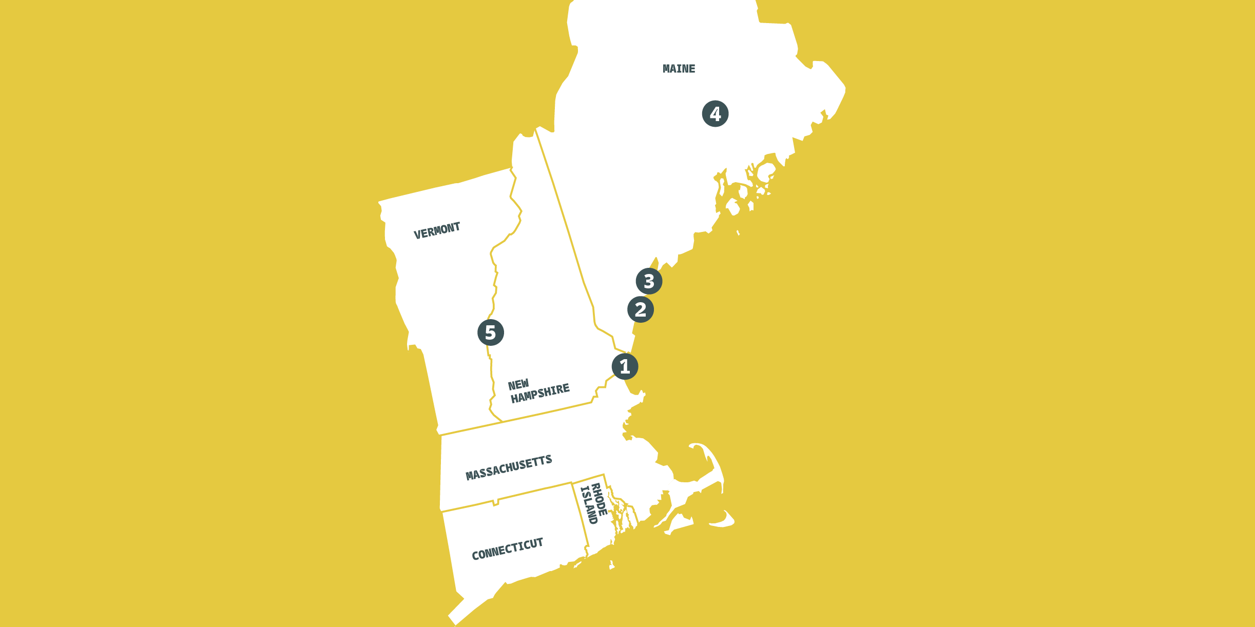 New England Arctic Network