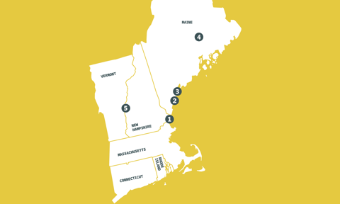 New England Arctic Network