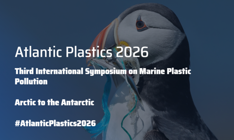 Screenshot 2026 01 13 154051