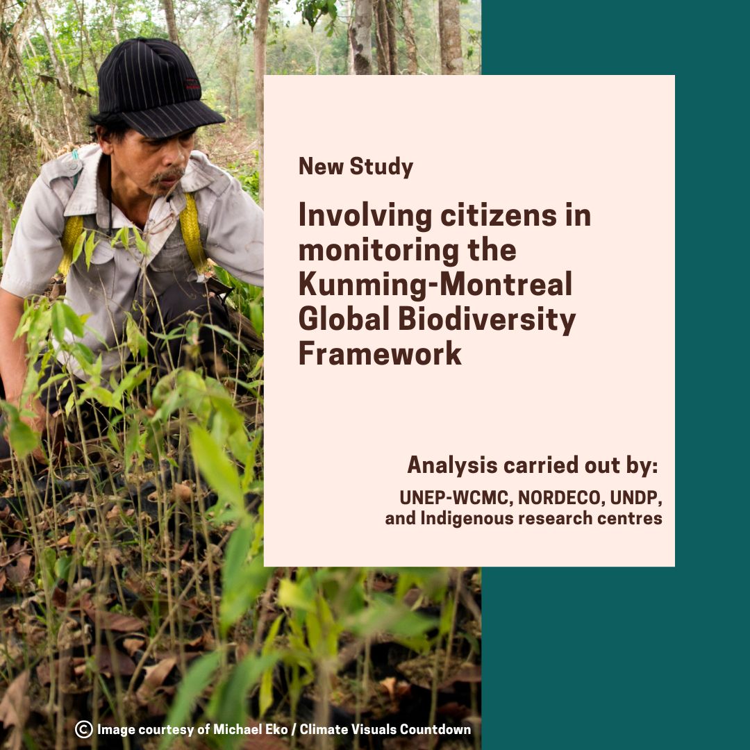 Citizen Involvement Out Now