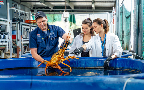 COSE 191219 Osbourneimages IMAS Taroona (58) (1)