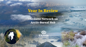 Year In Review Arctic Boreal Hub News Banner