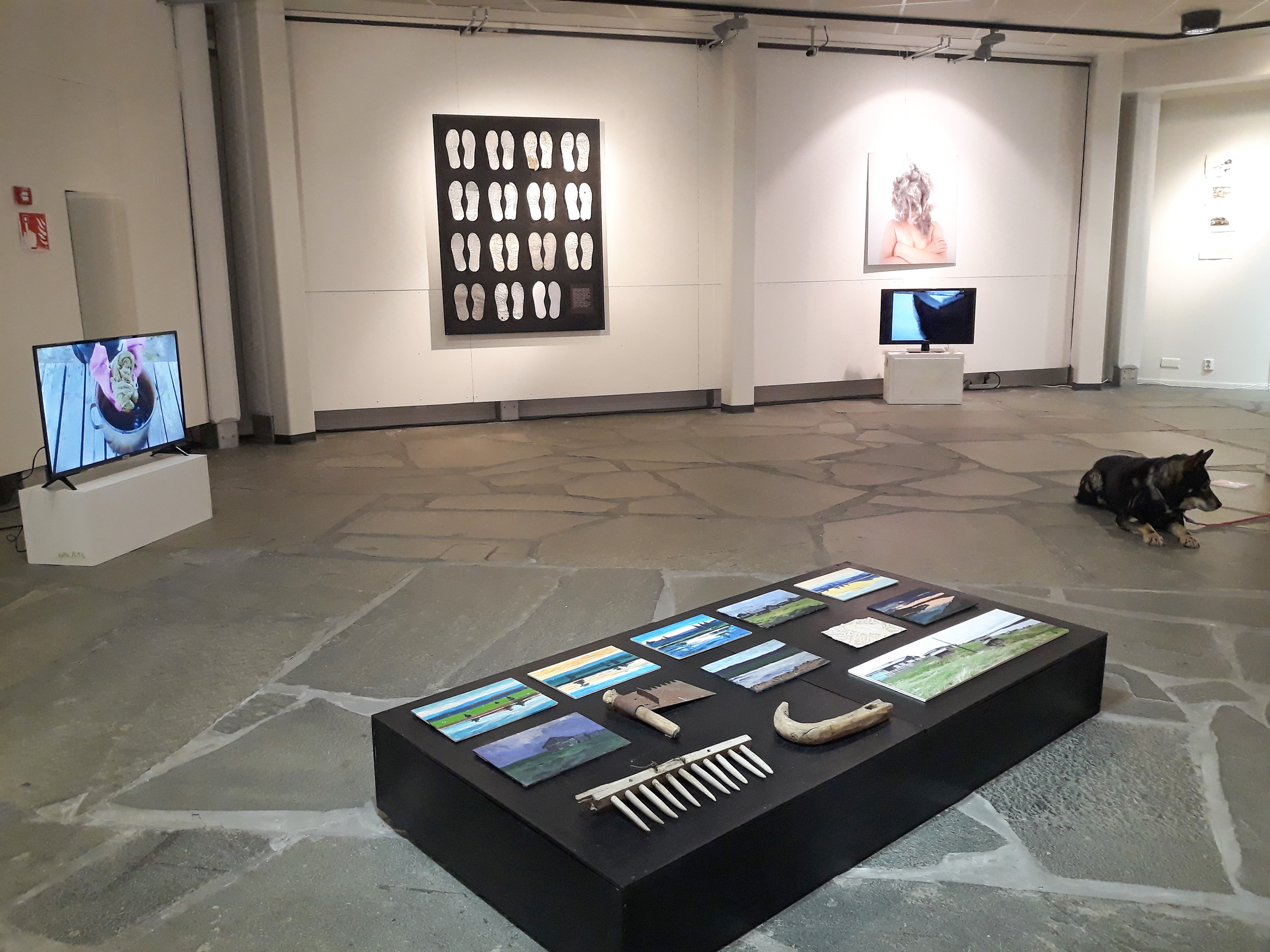 ASAD Maisemassa Exhibition