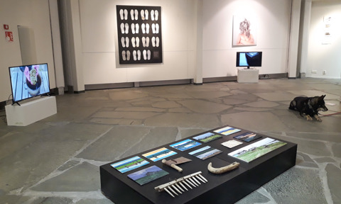 ASAD Maisemassa Exhibition