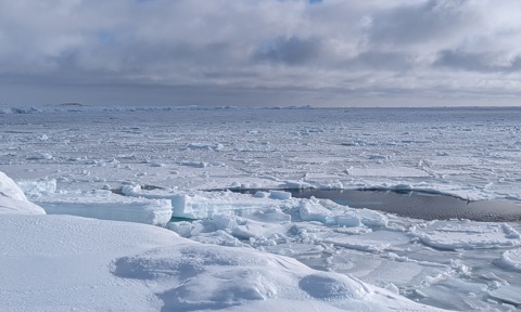 Sea Ice, Kinngait, March 2025. 
