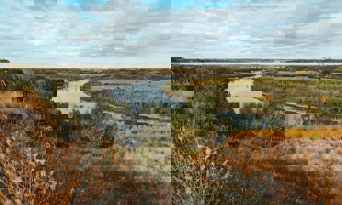 Darby P A5a4shidrpg Unsplash