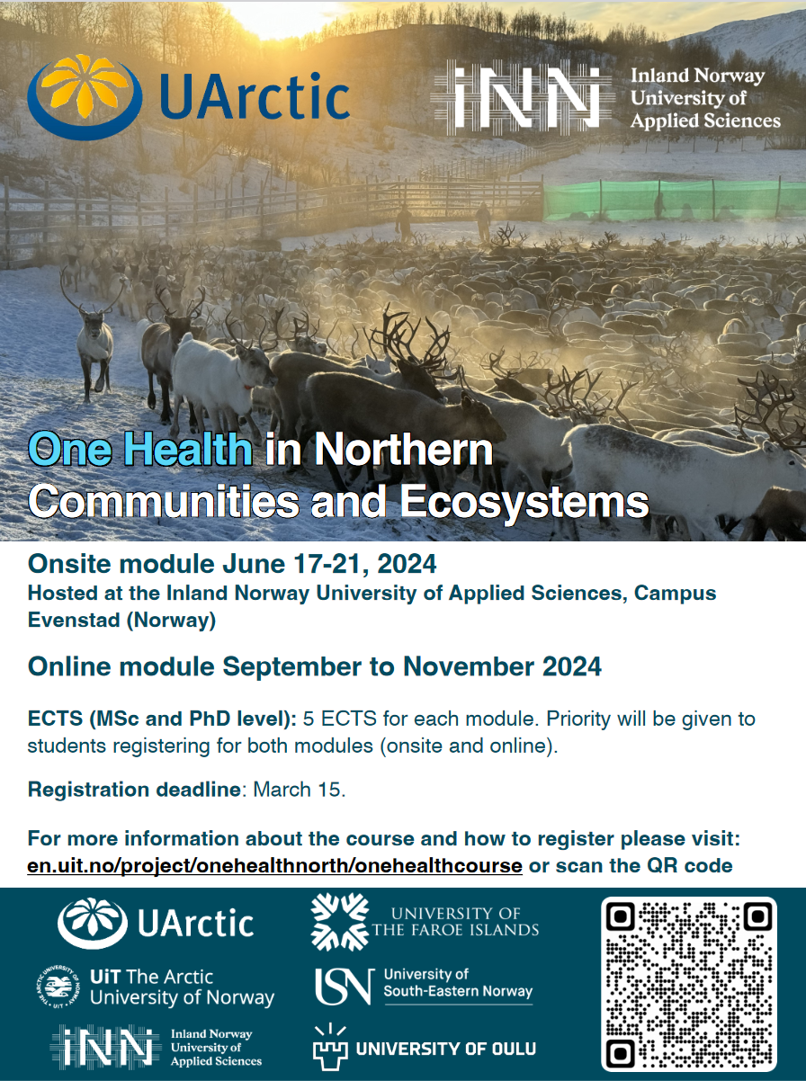 Näyttökuva 2024 02 17 172238