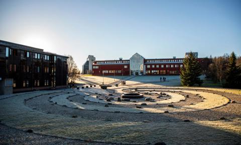 TN Environmental Humanities news story