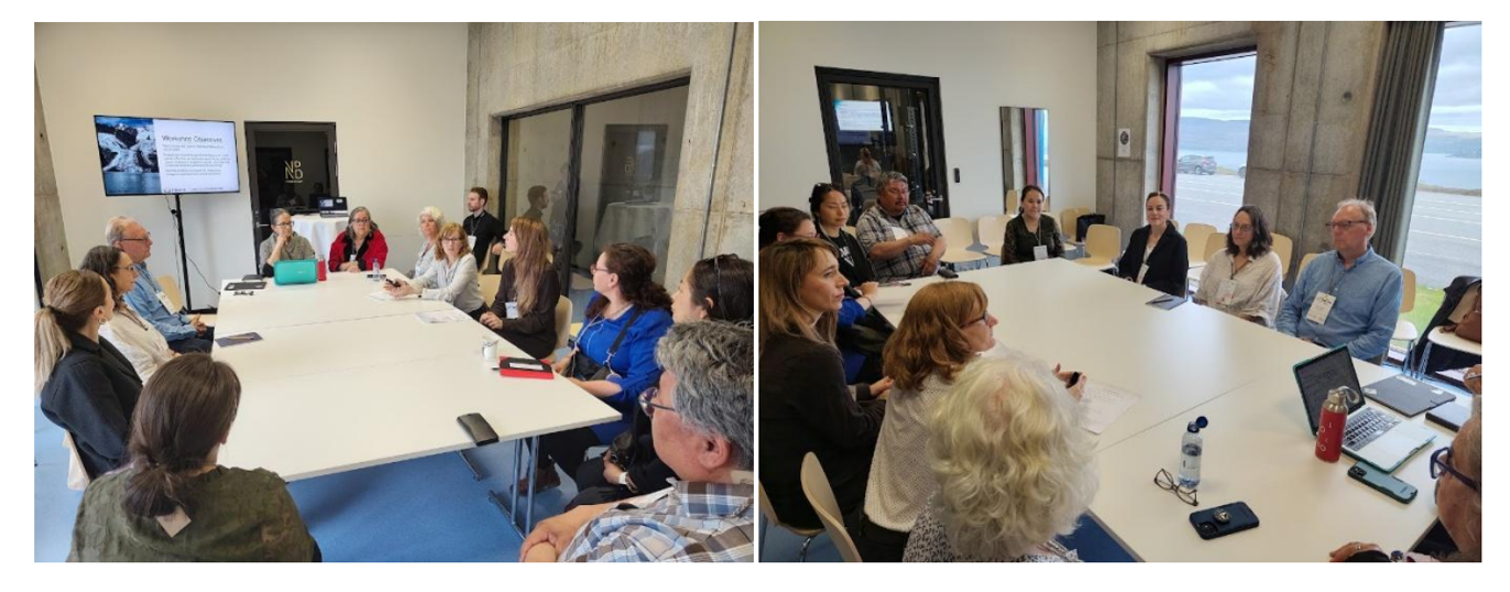Social Work At Uarctic Congress