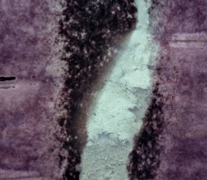 Artwork by Lena Gudd