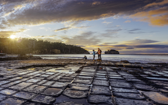 COSE 09072019 Osbourneimages Tesselated Pavement