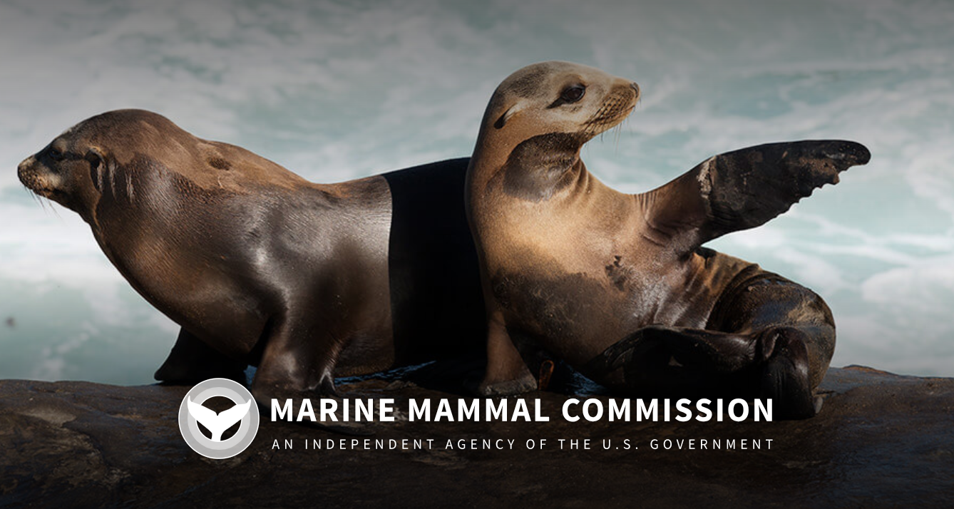 Marine Mammal Commission MMC
